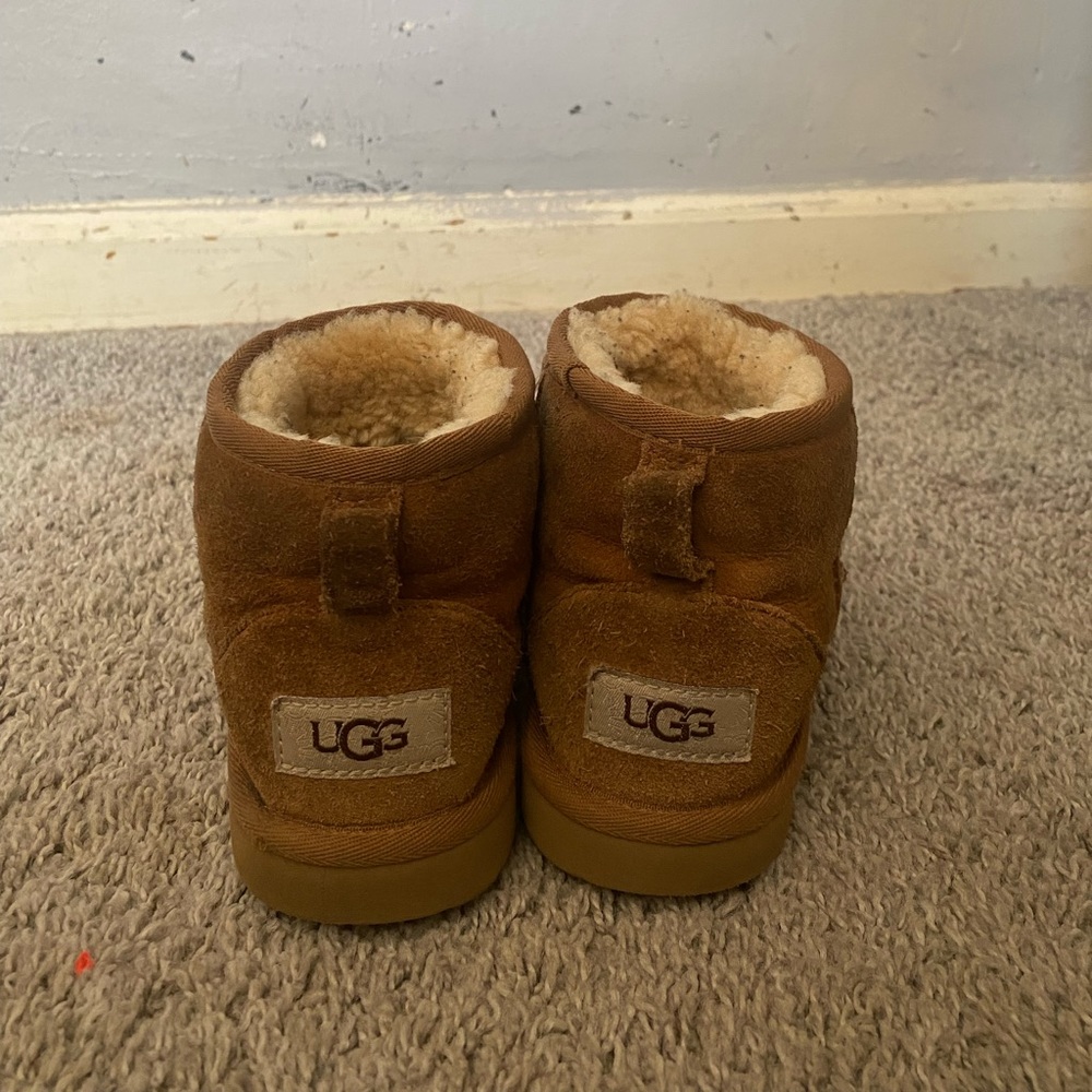 Chestnut Ugg’s.